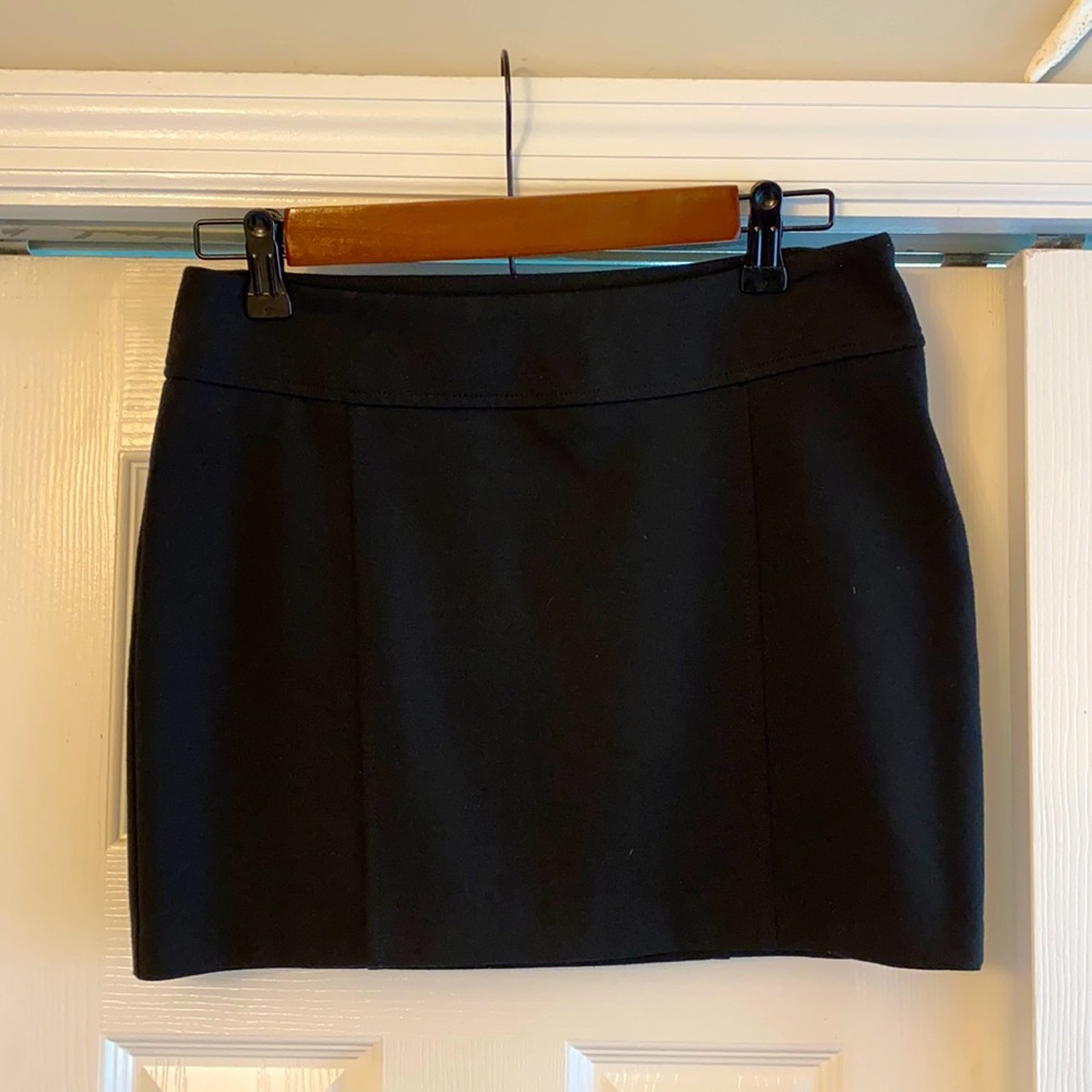 Express Skirt